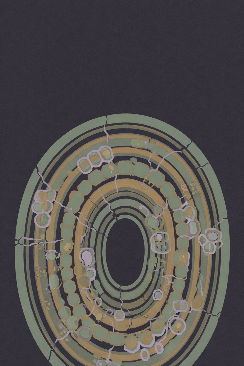Lifespan — David A. Sinclair