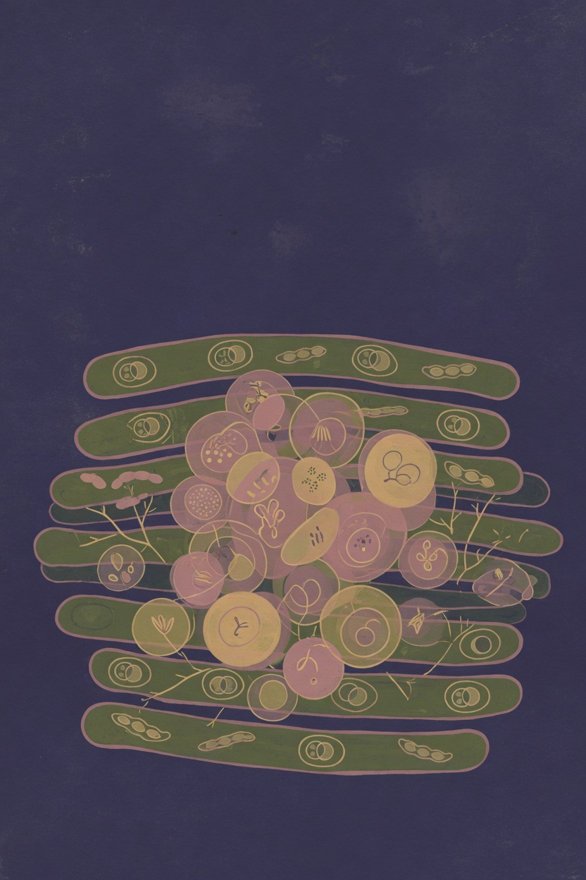 The Gene — Siddhartha Mukherjee
