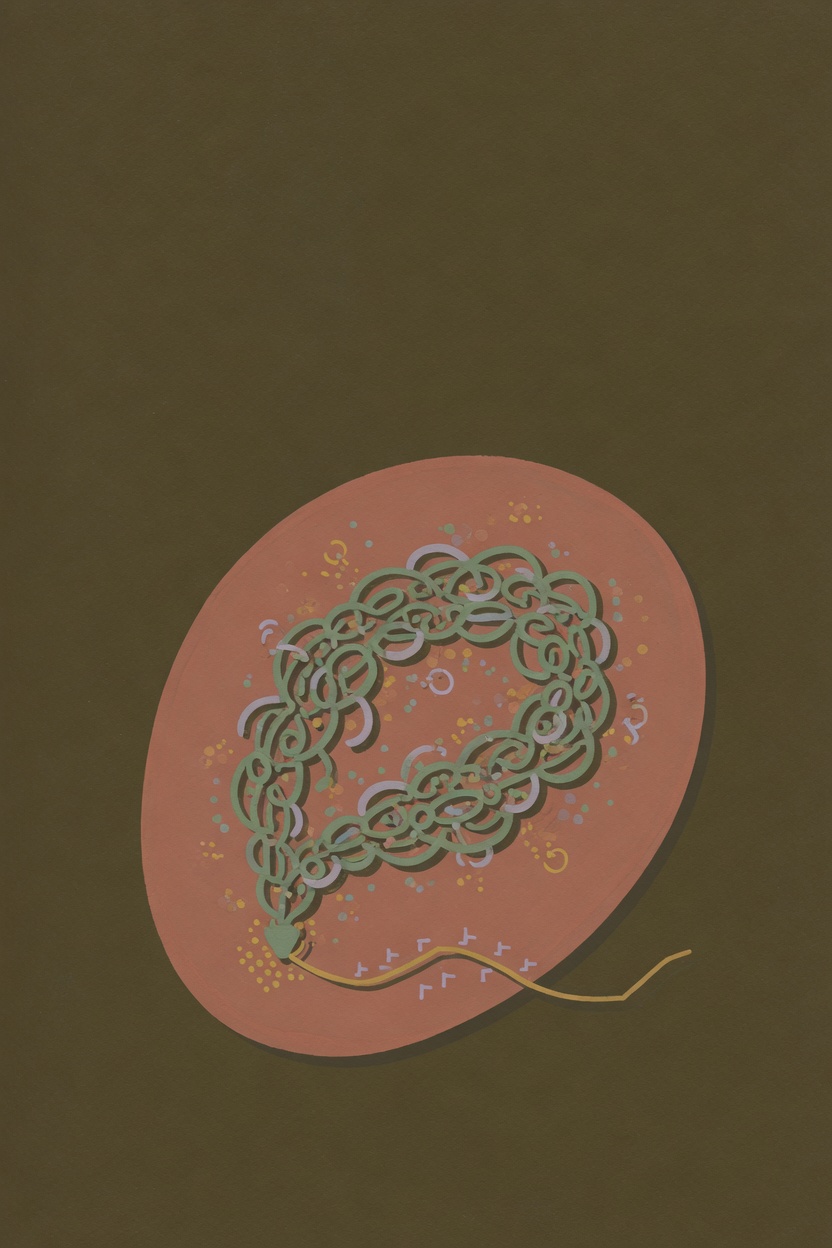 Tiny Habits — BJ Fogg