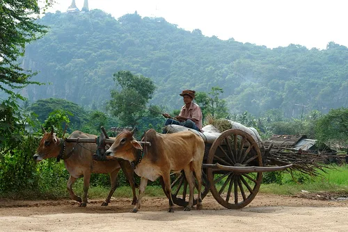 cart