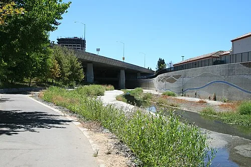 Guadalupe River