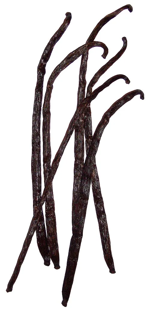 vanilla