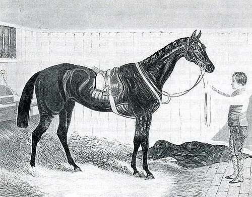 Alice Hawthorn