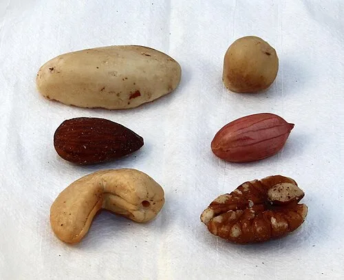 nut