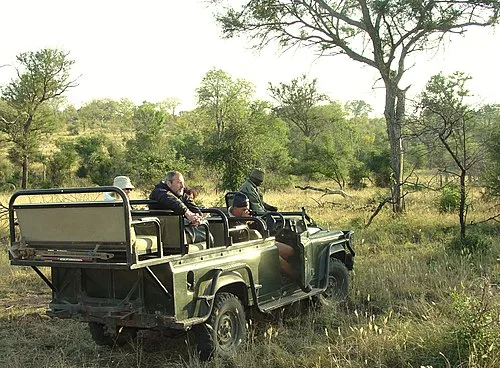 safari