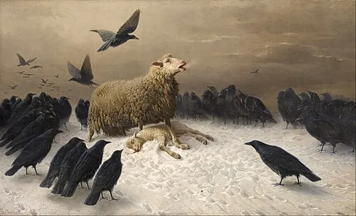 anguish