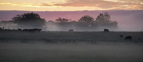 Benton County